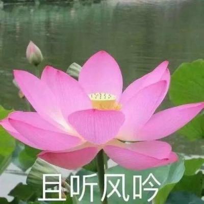 贵州省公安厅原巡视员周云被开除党籍